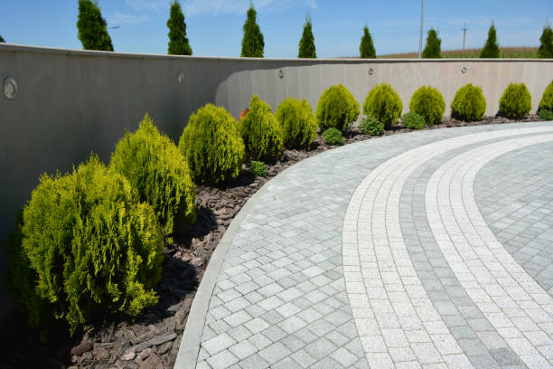 Reasons to Select Us for Your Driveway Paving Requirements in Stamford, CT